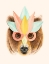 Picture of BEAR PAPER MASK