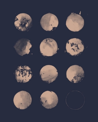 Picture of 12 MOONS