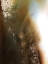 Picture of AGATE
