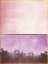 Picture of PINK AND YELLOW 1