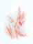 Picture of ROSE GOLD RIBBONS