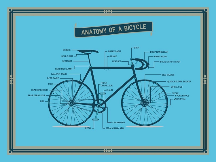 Picture of ANATOMY OF A BICYCLE STANDARD WALL ART