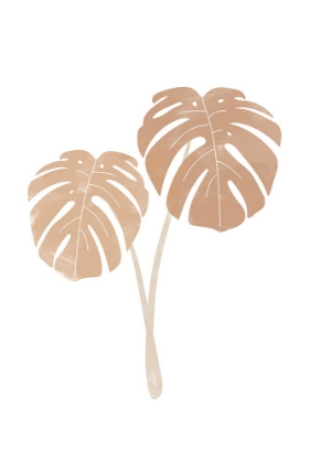 Picture of MONSTERA PLANTS