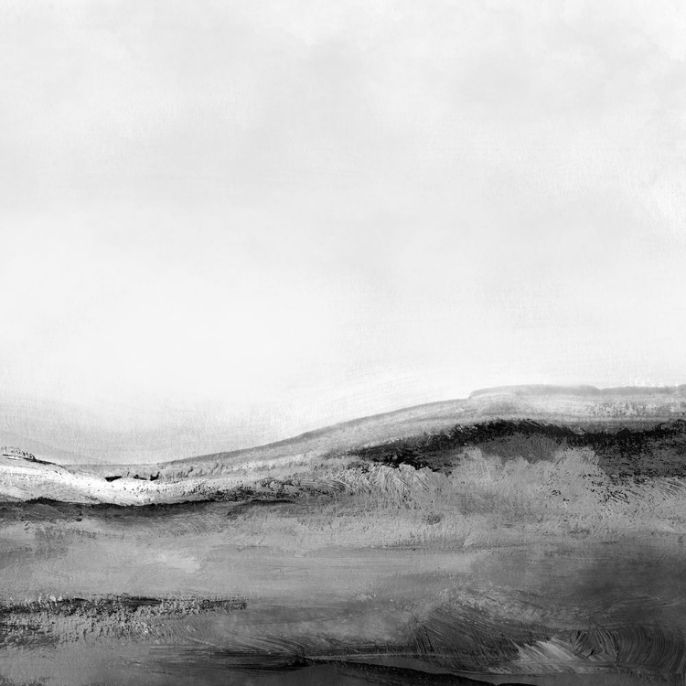 Picture of MONO LANDSCAPE NO2