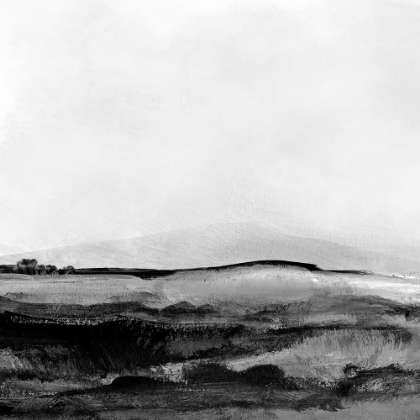 Picture of MONO LANDSCAPE NO1