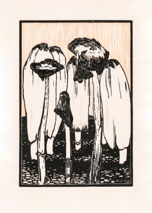 Picture of INK MUSHROOMS (1915)