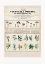 Picture of POISONOUS MUSHROOMS IRRITATING POISONS