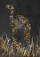 Picture of BLACK GOLD JAGUAR IN GRASS