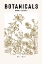 Picture of BOTANICALS FLOWER STUDY II