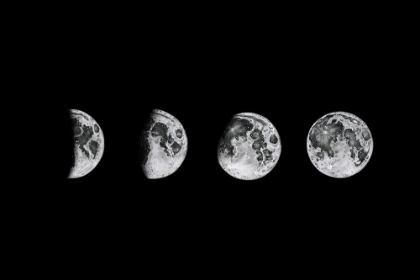 Picture of LUNAR PHASES