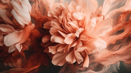 Picture of SPLASHED PEONY