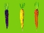 Picture of CARROTS