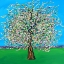 Picture of APPLE BLOSSOM