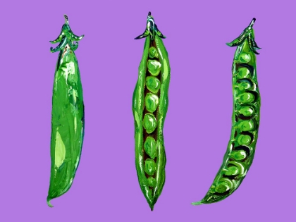 Picture of PEAS IN A POD
