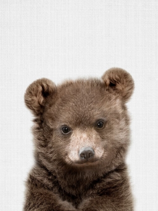 Picture of PEEKABOO BABY BEAR
