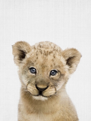 Picture of PEEKABOO BABY LION