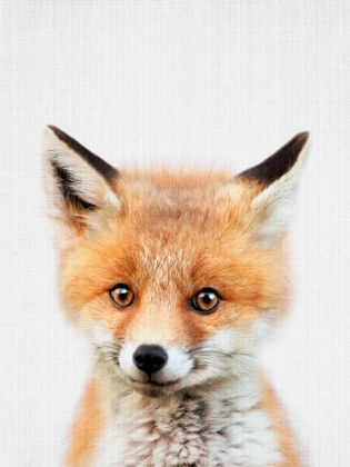 Picture of PEEKABOO BABY FOX