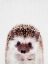 Picture of PEEKABOO HEDGEHOG