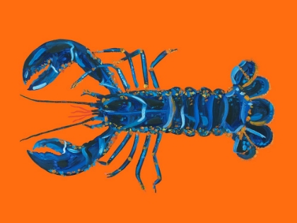 Picture of LOBSTER ON ORANGE