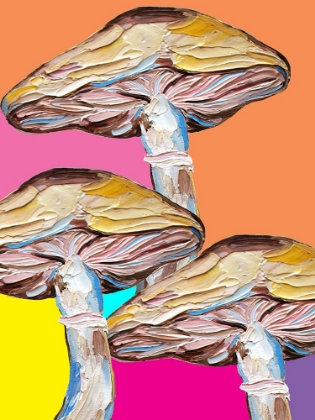 Picture of PSYCHEDELIC MUSHROOMS