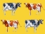 Picture of COW ART ON YELLOW