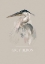 Picture of GREY HERON