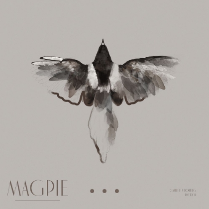 Picture of MAGPIE II