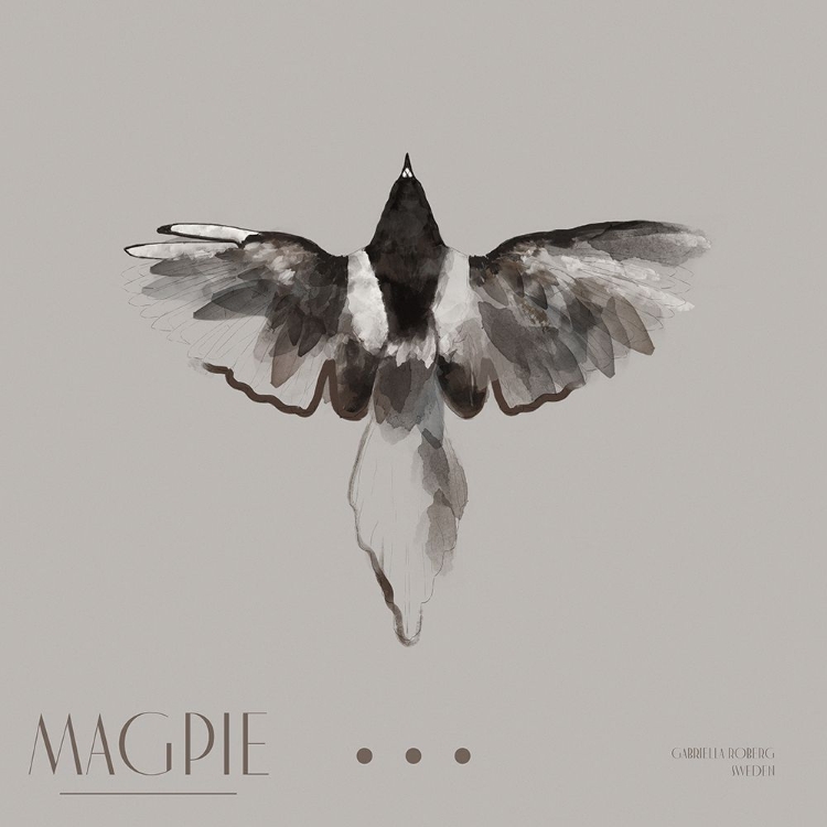 Picture of MAGPIE II