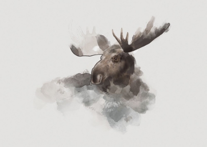 Picture of ELK