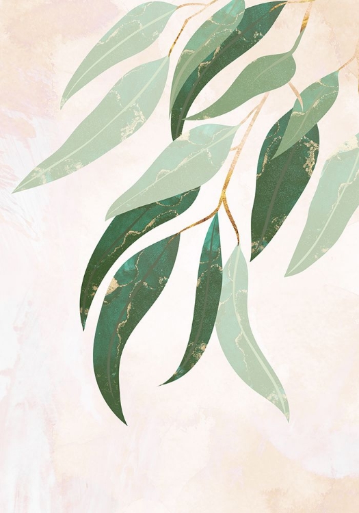 Picture of AUSTRALIAN EUCALYPTUS LEAVES