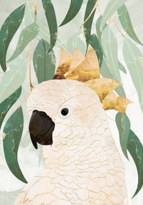 Picture of SYDNEY OPERA COCKATOO WITH EUCALYPTUS