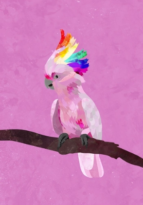 Picture of PRIDE GALAH