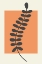 Picture of ABSTRACT MINIMAL PLANTS #3