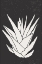 Picture of AGAVE #2
