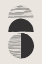Picture of CIRCLES AND LINES #2