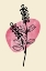 Picture of MINIMAL FLOWER EXPRESSION #2