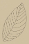 Picture of MINIMAL LEAVES #3