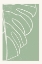 Picture of MINIMAL MONSTERA COLLECTION #3