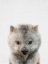 Picture of PEEKABOO BABY WOMBAT