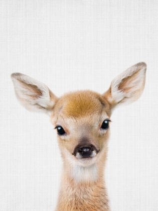 Picture of PEEKABOO BABY DEER