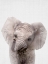 Picture of PEEKABOO BABY ELEPHANT