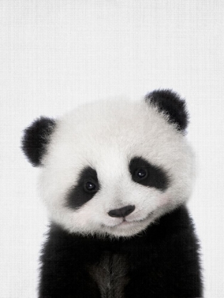 Picture of PEEKABOO BABY PANDA