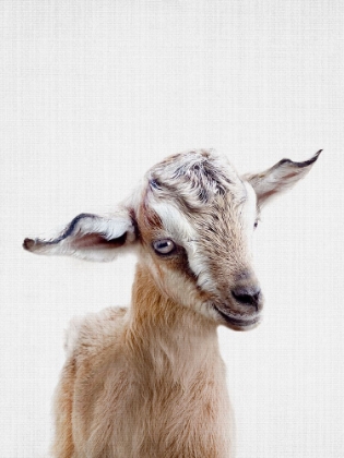 Picture of PEEKABOO BABY GOAT