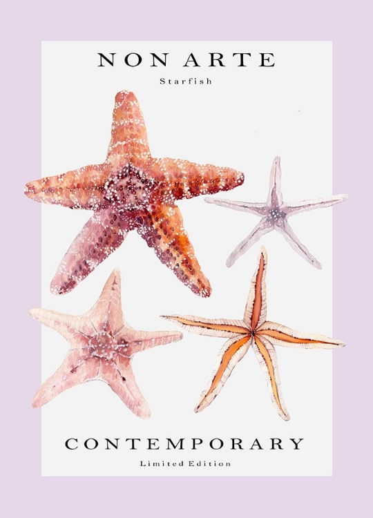 Picture of NON ARTE STARFISH