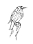 Picture of WALKING MURMURATION