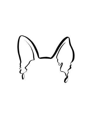 Picture of DOG EARS (GERMAN SHEPHERD)