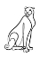 Picture of THE CHEETAH