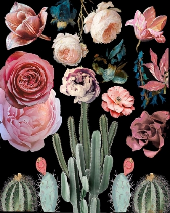 Picture of CACTI FLORAL BLOOMS BOTANICAL
