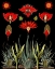 Picture of CACTUS AND SUCCULENT INVENTION
