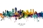 Picture of SAN DIEGO CALIFORNIA SKYLINE